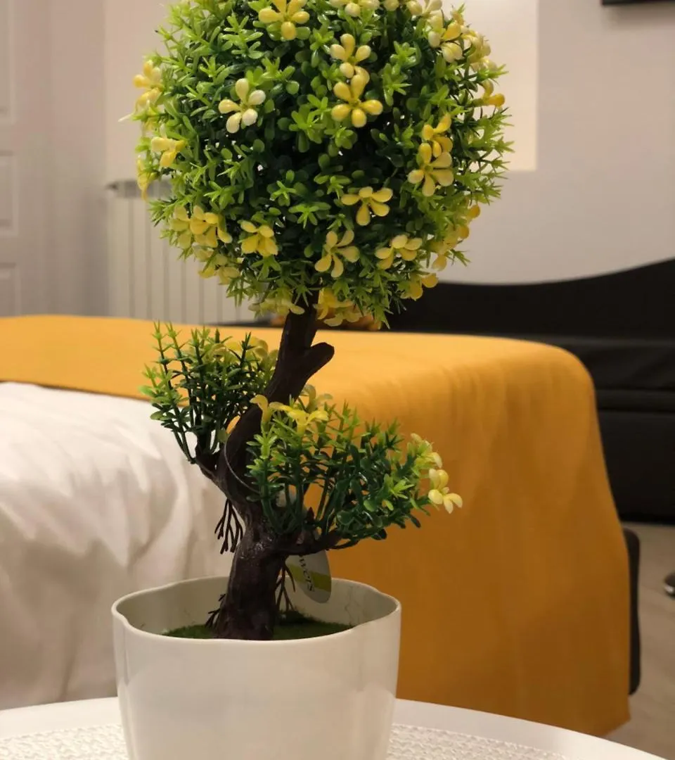 Bed & Breakfast Domo B&B Naples Italy